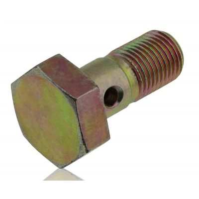 Parafuso Vazado 10mm (Oco) - Pacote com 2 unidades